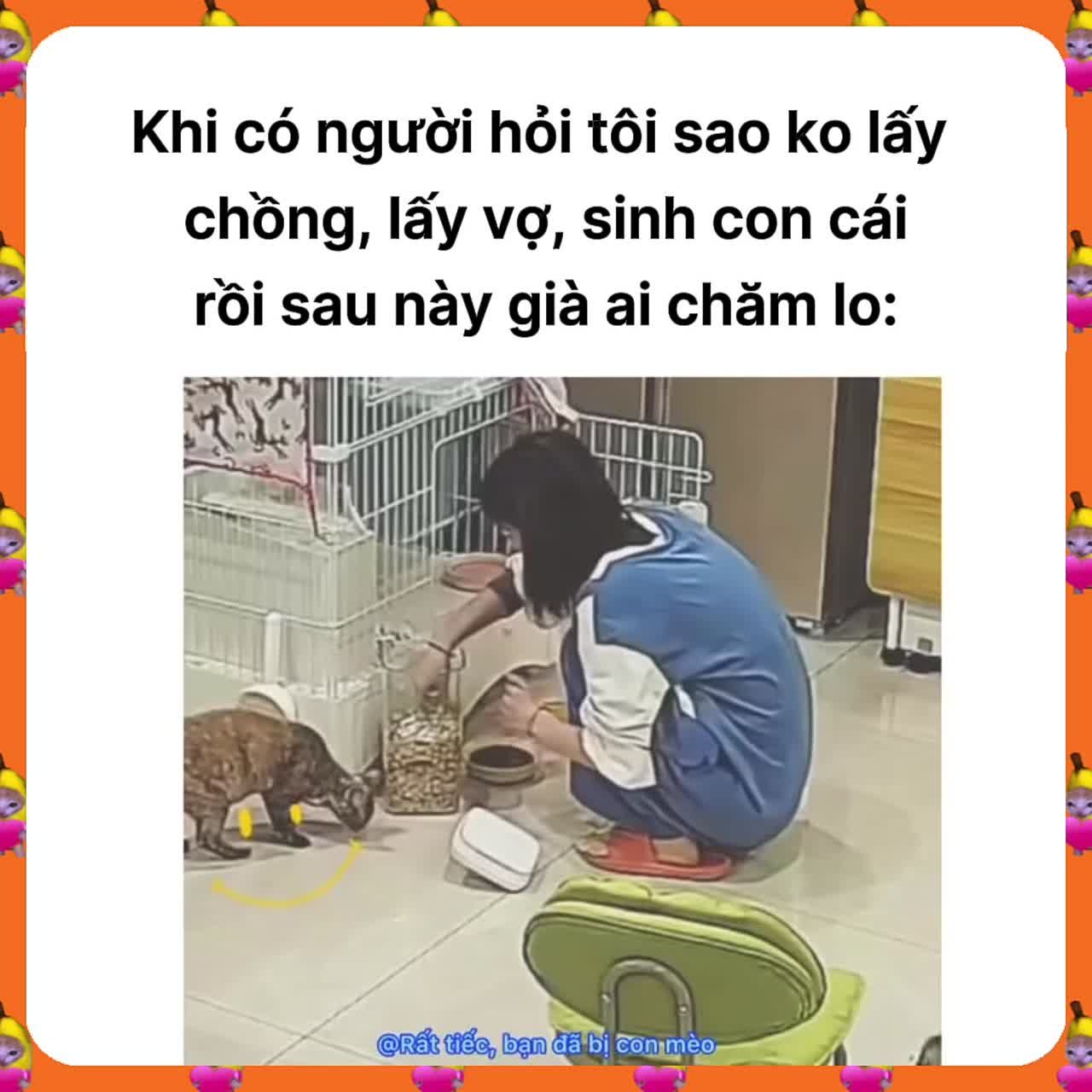 Bài viết cộng đồng