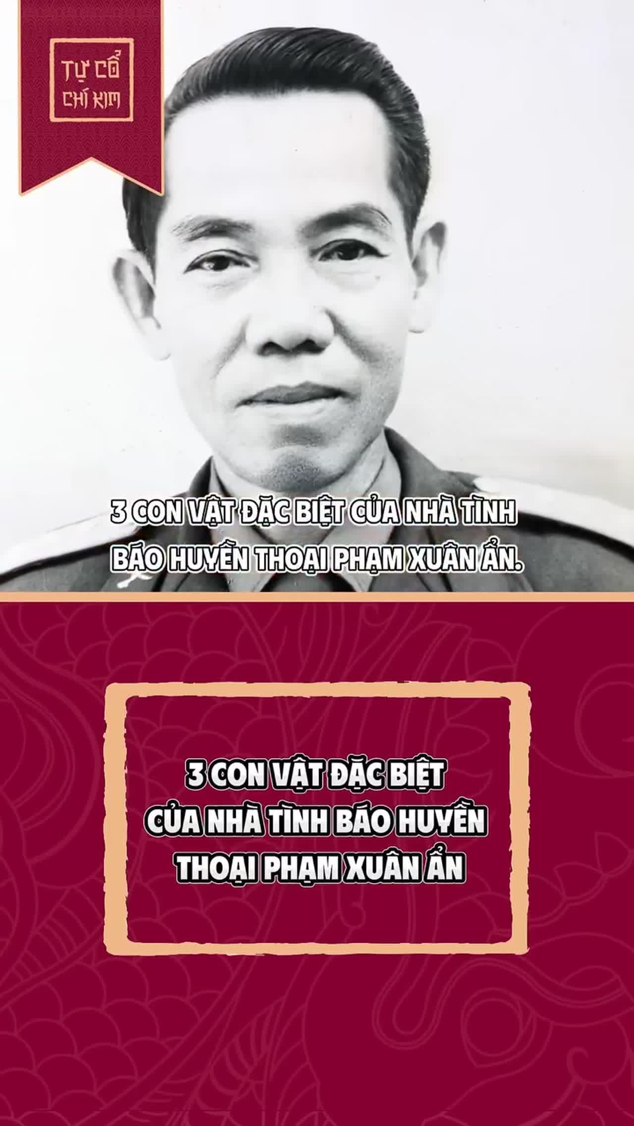 Huyền Thoại Tình Báo Phạm Xuân Ẩn Và 3 Thú Cưng Đặc Biệt