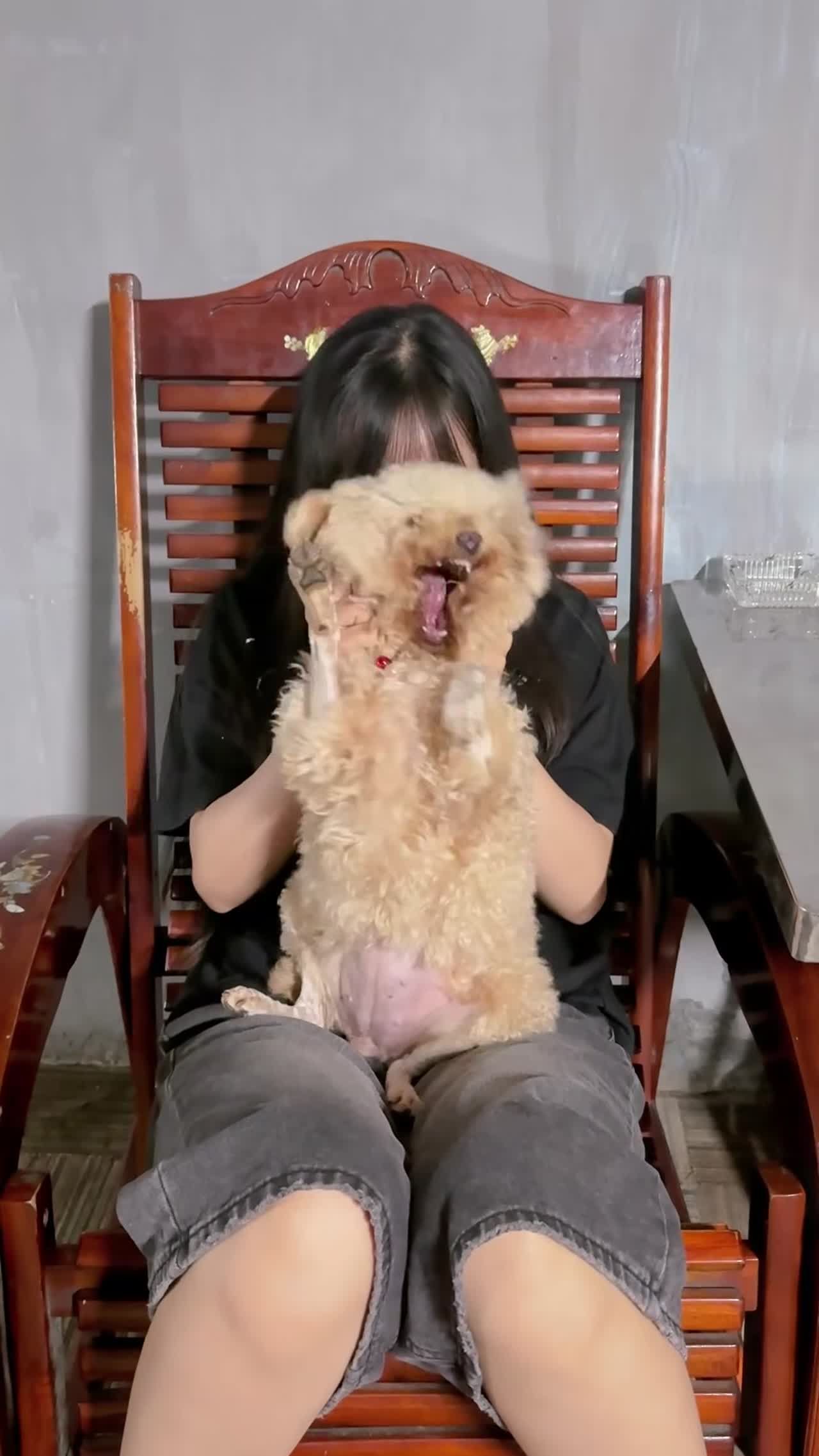 Bài viết cộng đồng