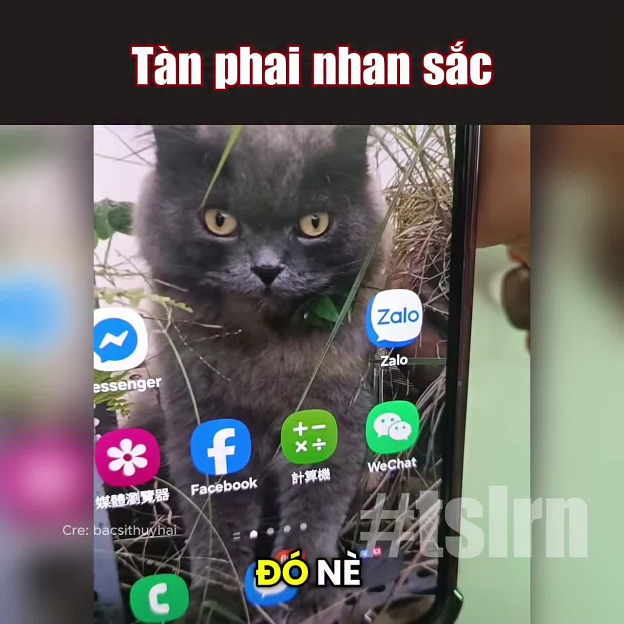 Video cộng đồng