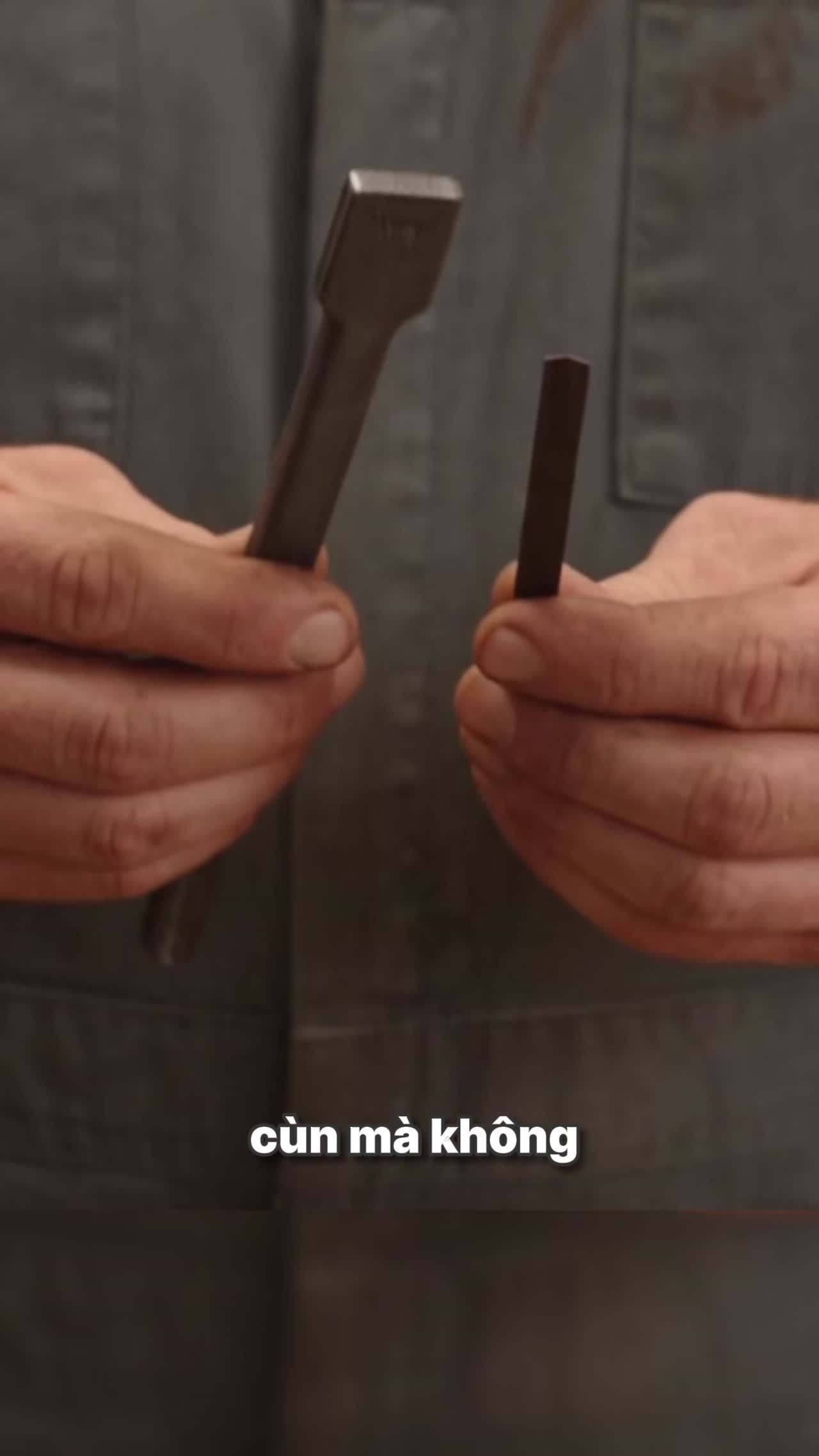 Video cộng đồng