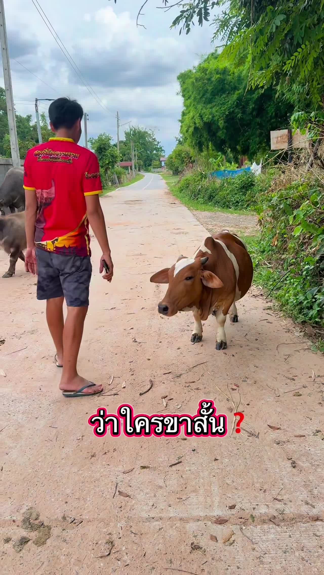 Bài viết cộng đồng