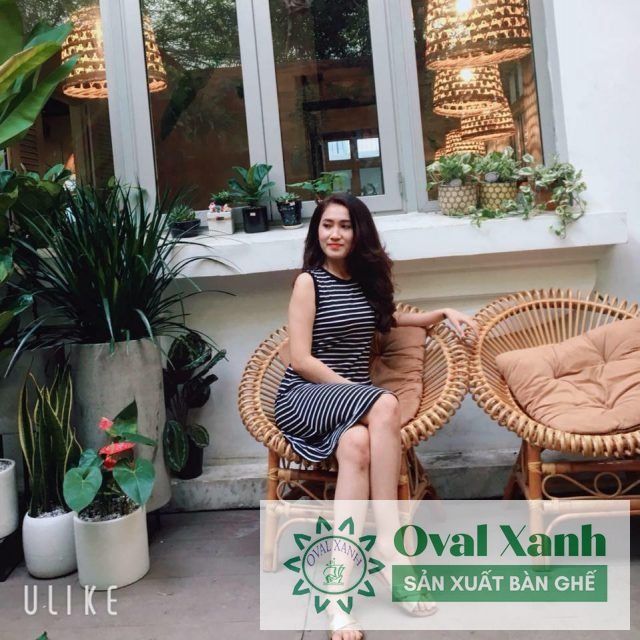 Bài viết cộng đồng