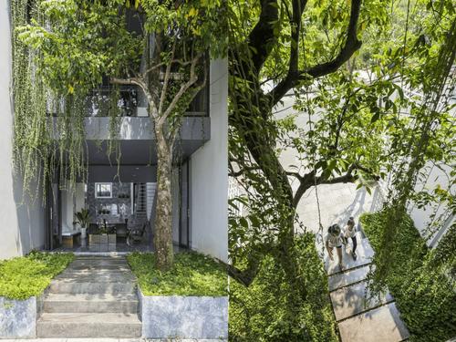 Khí hậu nóng ẩm, mưa nhiều tại Việt Nam là thử thách lớn đối với mọi công trình. Kiến trúc thích ứng khí hậu (Bioclimatic Architecture) ra đời như một giải pháp cứu cánh, giúp ngôi nhà hoặc quán cafe của bạn luôn mát mẻ tự nhiên và giảm thiểu tối đa tiền điện máy lạnh hàng tháng.

1. Giải pháp mặt đứng hai lớp (Double Skin Facade)
Đối với những ngôi nhà hướng Tây hoặc các quán cafe mặt tiền hứng nắng chiều, việc làm mặt đứng hai lớp là cực kỳ hiệu quả. Lớp ngoài có thể là hệ lam gỗ biến tính, gạch bông gió hoặc lưới thép, lớp trong là hệ cửa kính. Khoảng không ở giữa hai lớp đóng vai trò như một lớp đệm không khí cách nhiệt, ngăn chặn phần lớn bức xạ nhiệt xuyên vào trong nhà.

2. Tối ưu hóa mái hiên và ban công rộng
Kế thừa tinh hoa từ kiến trúc nhà truyền thống Việt Nam, những hệ mái hiên vươn xa và ban công rộng giúp che chắn ánh nắng gắt chiếu trực tiếp vào phòng, đồng thời ngăn nước mưa hắt vào khi mở cửa sổ. Đây là yếu tố rất cần thiết cho các quán cafe có khu vực ngồi ngoài trời để khách luôn cảm thấy dễ chịu.

3. Mái xanh và hành lang xanh (Green Roofs and Buffer Zones)
Trồng cây xanh trên mái hoặc tạo các khoảng đệm xanh ở ban công không chỉ làm đẹp mà còn có tác dụng hạ nhiệt độ bề mặt công trình một cách rõ rệt. Cây xanh hấp thụ ánh nắng, nhả hơi nước giúp làm mát không khí xung quanh, tạo ra một vi khí hậu trong lành cho toàn bộ không gian sống bên trong.
